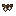 Item icon fairylights white.png