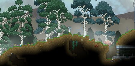 Biome image forest.jpg